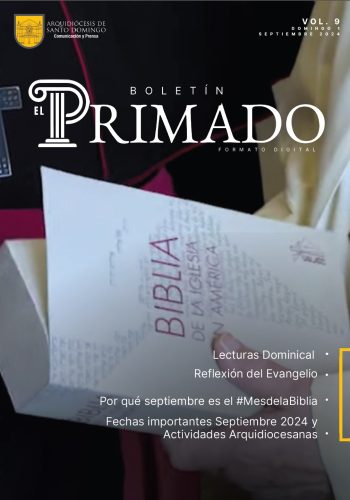 Ver Boletín El Primado Vol. 9